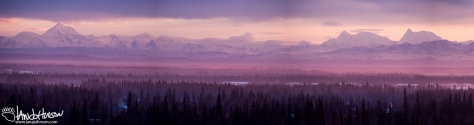 4:29 PM : As I got back into town the Alaska Range (South of Fairbanks) was lit up by the low sun. The mountain range is always beautiful, but on nights like this you cannot stop watching! The pinks and purples of this sunset were amazing!
