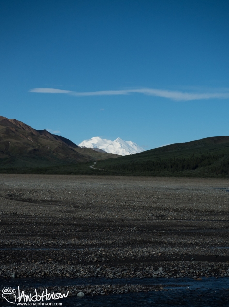 Here was our first view of Denali across a broad river valley. The far rise brought us to our first full (and spectacular) views of Denali!